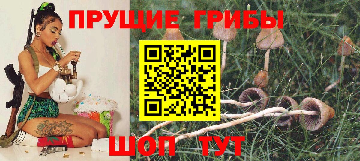 как найти наркотики  Псилоцибиновые грибы ЛСД  Вход с VPN  Кондопога  Галлюциногенные грибы Psilocybe 